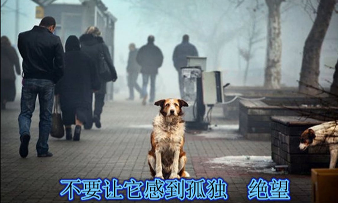 石嘴山石嘴山爱影圈微博微信转发案例